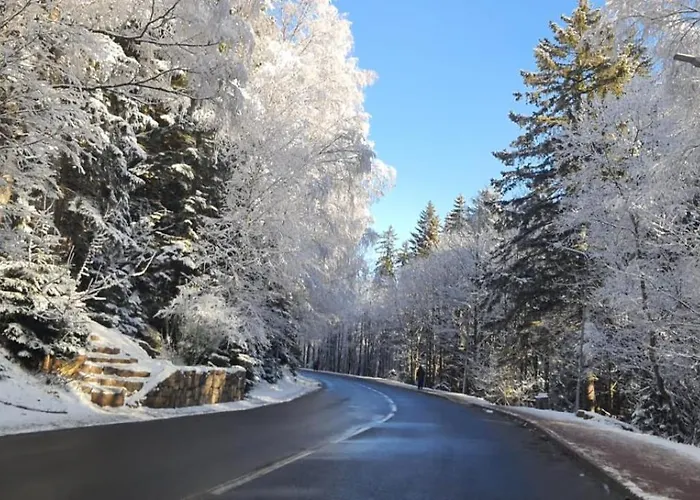 Triventi Rajski شقة كارباش