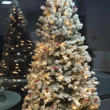 Triventi Rajski Apartmán *