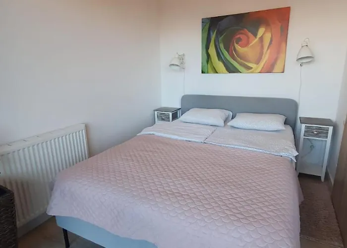 Triventi Rajski * カルパッチ