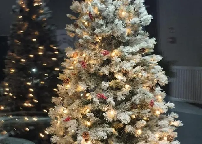 Triventi Rajski アパート *